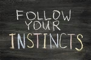 follow  your instincts 3